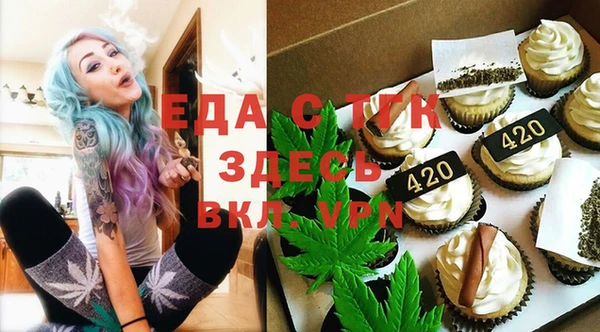 хмурый Белая Холуница