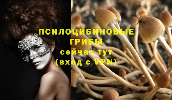 mdpv Горняк