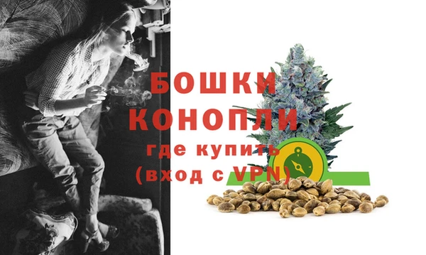 дурь Горнозаводск