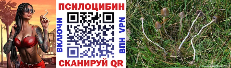 наркошоп  Ивантеевка  Галлюциногенные грибы мицелий 